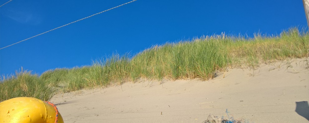 Boei op strand .jpg Boei op strand .jpg