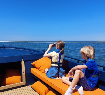 foto zeehonden kijken.jpg