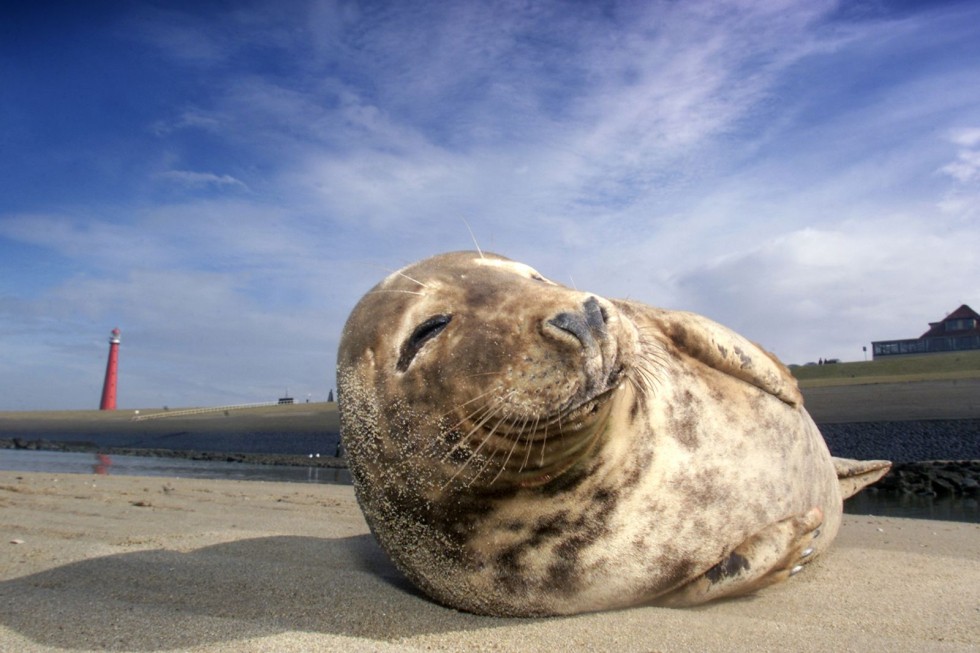 hoofdheader alle pagina's.jpg