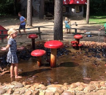 Het Grote Kabouterbos - Waterpaddenstoelen