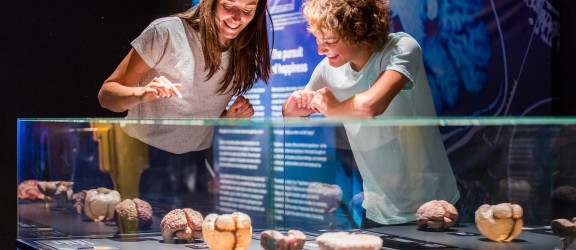 Body Worlds