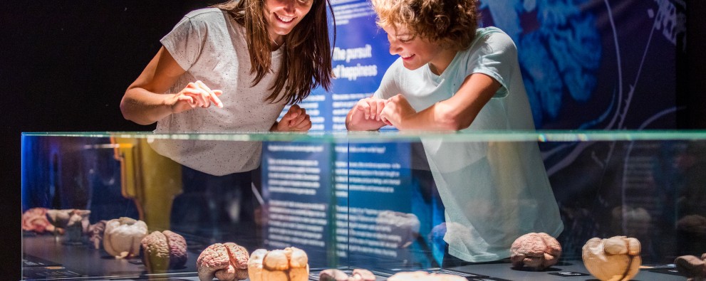 Body Worlds