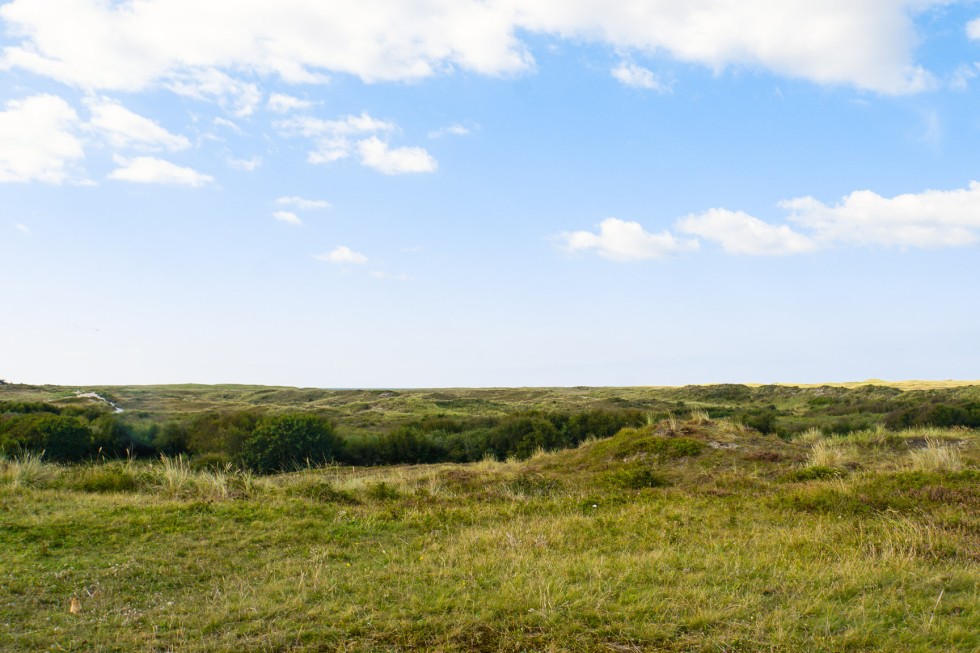 Duinen SMZ.jpg