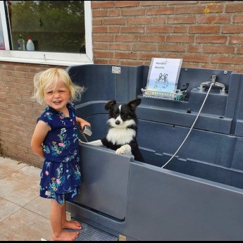 Honden douche - Sint Maartenszee