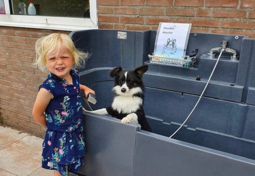 Honden douche - Sint Maartenszee