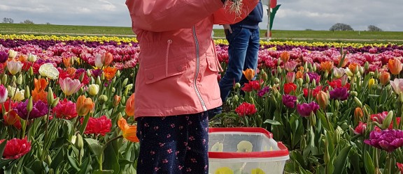 20170408_145022_1.jpg