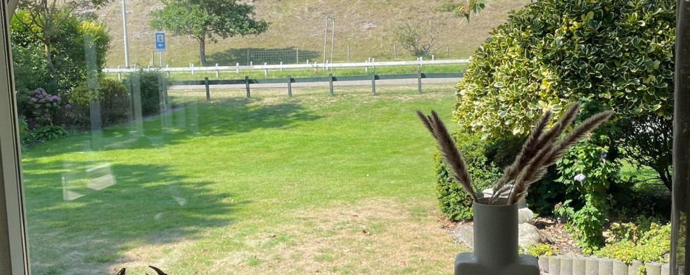 villa bos vooraam naar buiten.jpg