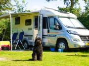 Hond voor camper.jpg