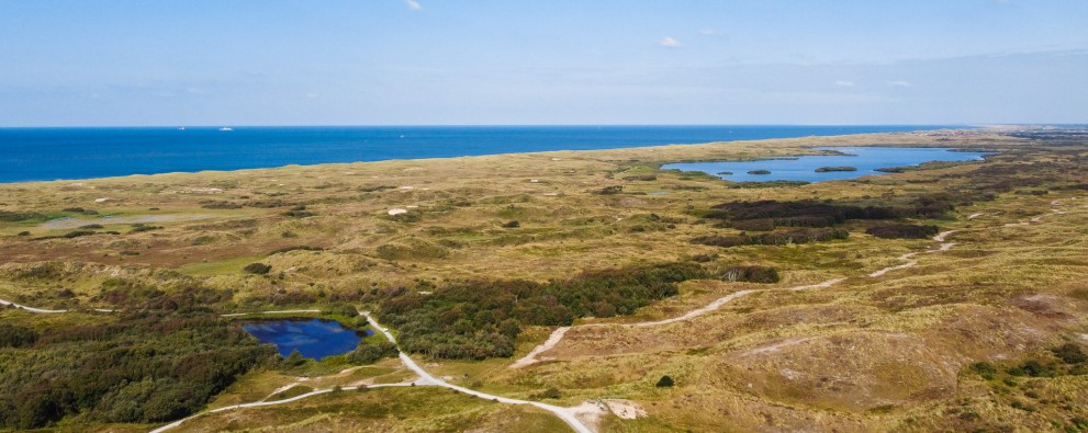 Zwanenwater, duin SMZ.jpg