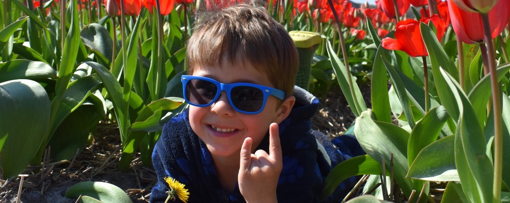Jake in de tulpen.JPG